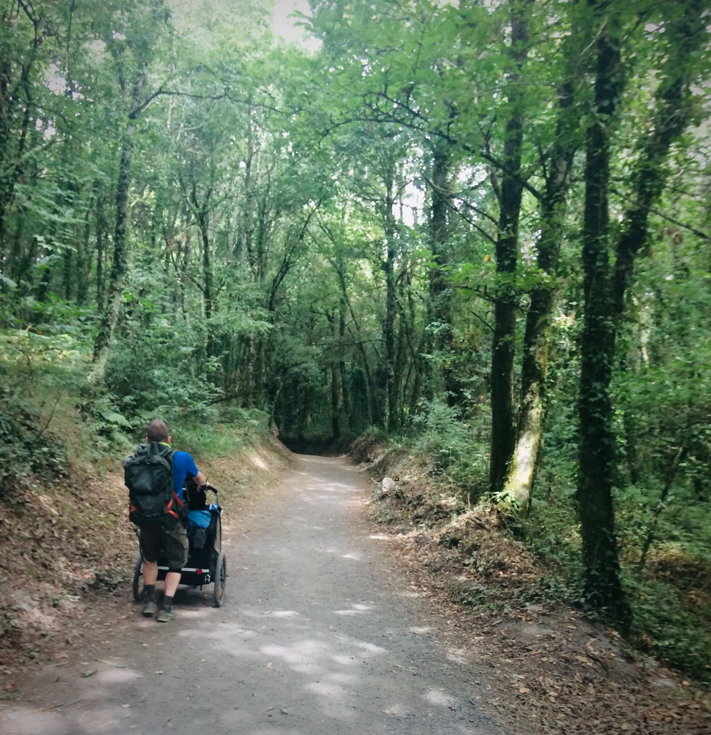 Peter, pack on his back, pushing his sons' trail chariot up a wooded gravel stretch of the Camino de Santiago.