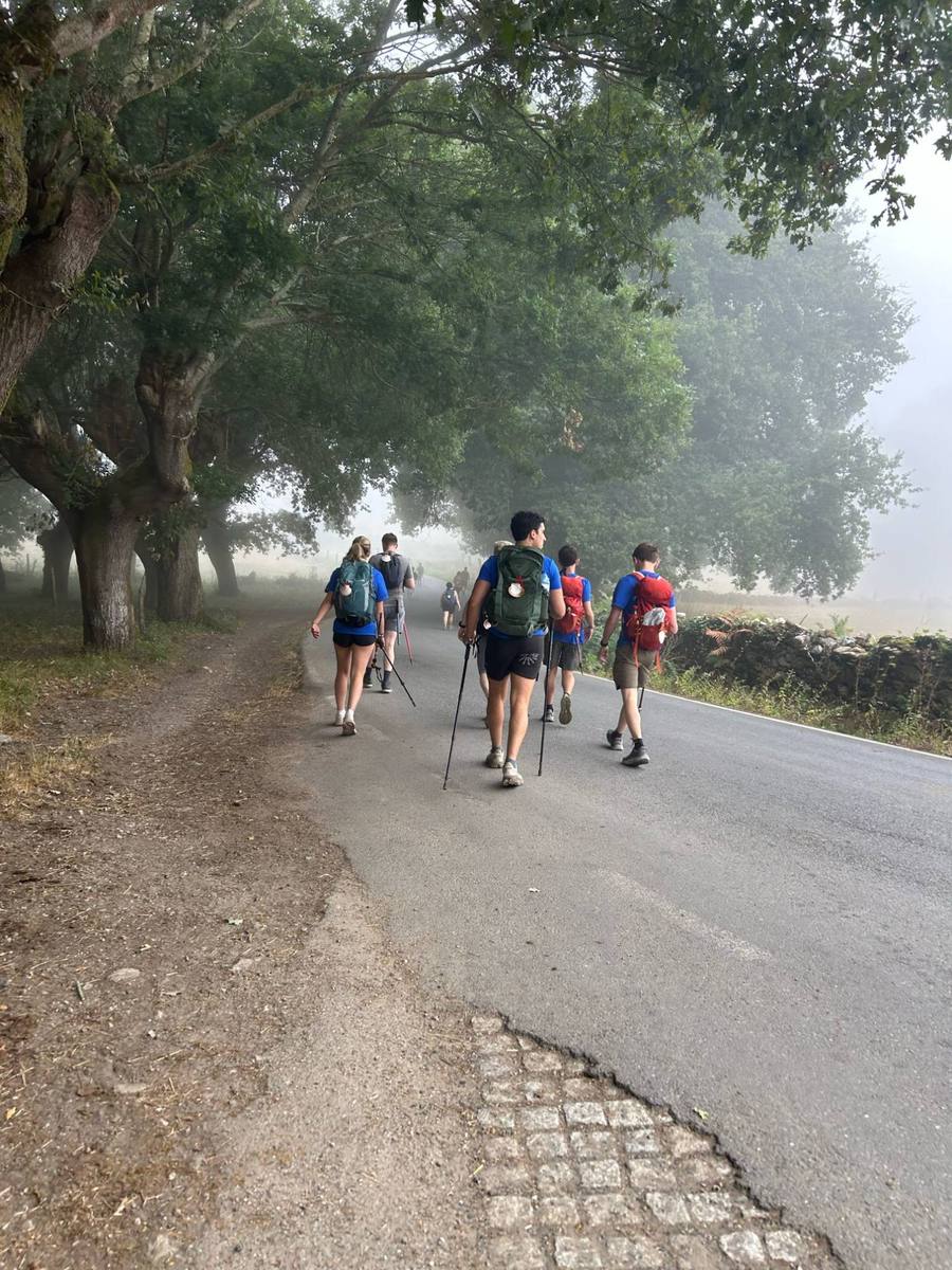 Walkers in blue Break or Become shirts heading down a misty road lined with old oaks.