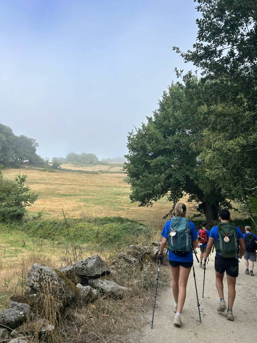 Two walkers with packs and poles following a gravel track past golden fields.
