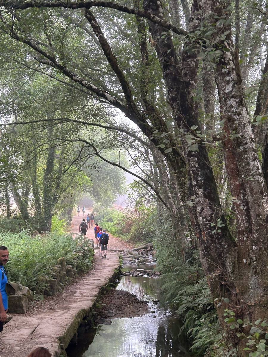 A narrow stone causeway beside a stream, under tall trees, with pilgrims walking ahead.