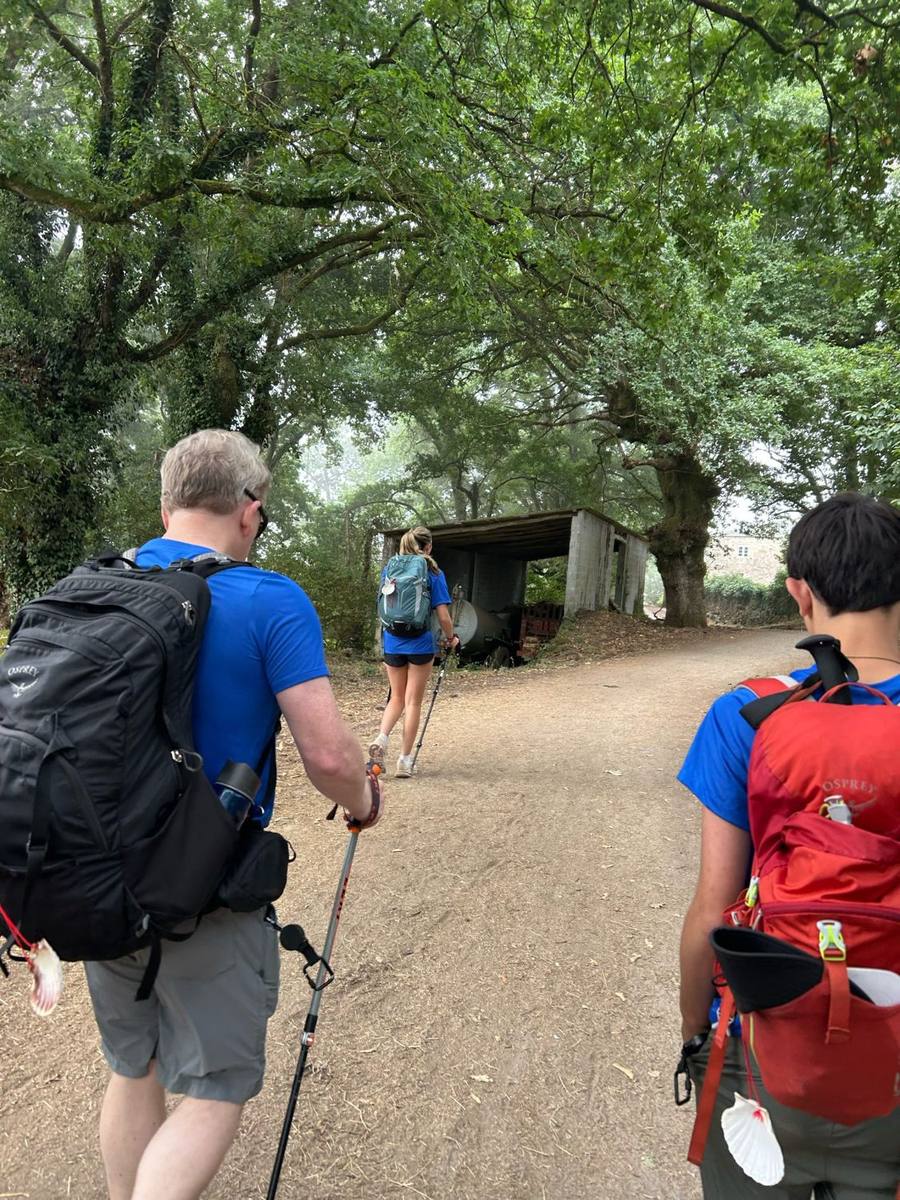 Walkers with packs and poles on a wide dirt path under a canopy of oak trees.