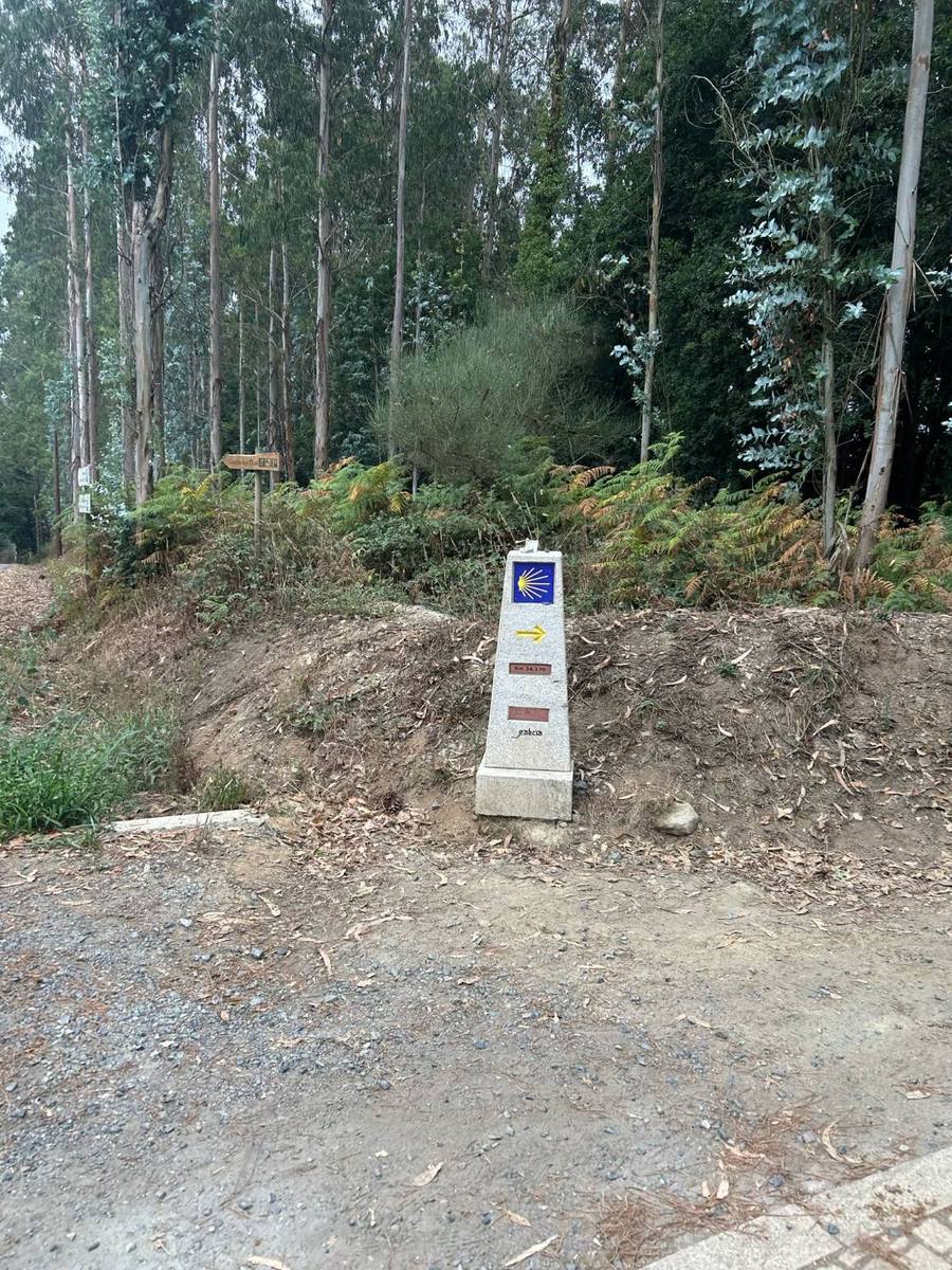 A waymark stone pointing right, with eucalyptus forest behind it.